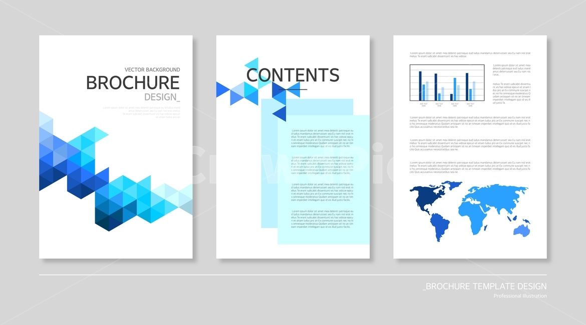 Pamphlet,brochure,business,geometry,world map,map,graph