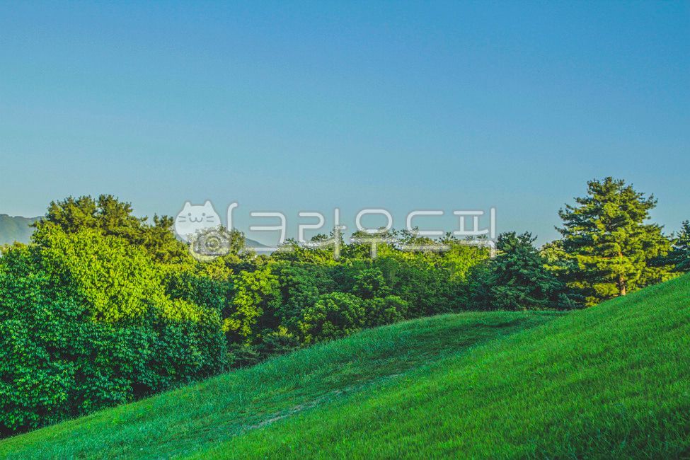 Olympic Park,nature,tree,grassland,seoul,trail,field,outdoors,plant,park,walk
