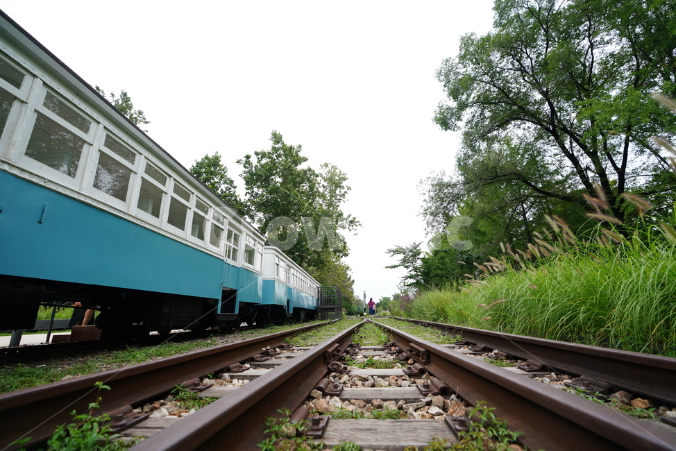 철도,레일,rail,기찻길,길,road,교통,기차,transportation,train,traintrack