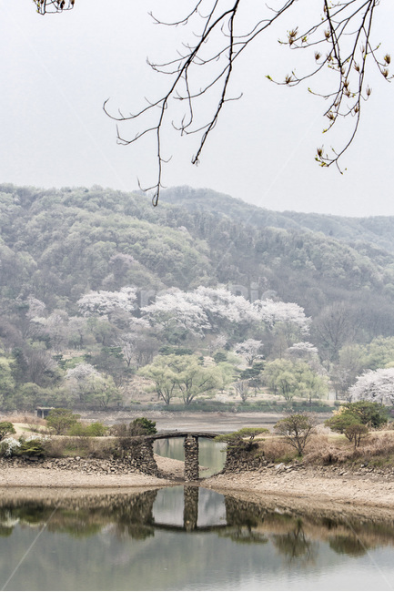 벗꽃,풍경,조형물,봄,반영,호수,봄,계절,spring,season,자연,풍경,nature,landscape,한국자연풍경,한국자연경관,korea nature landscape
