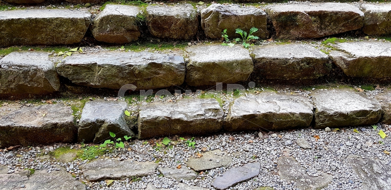 계단,돌,돌계단,stairs,자연,nature,stone