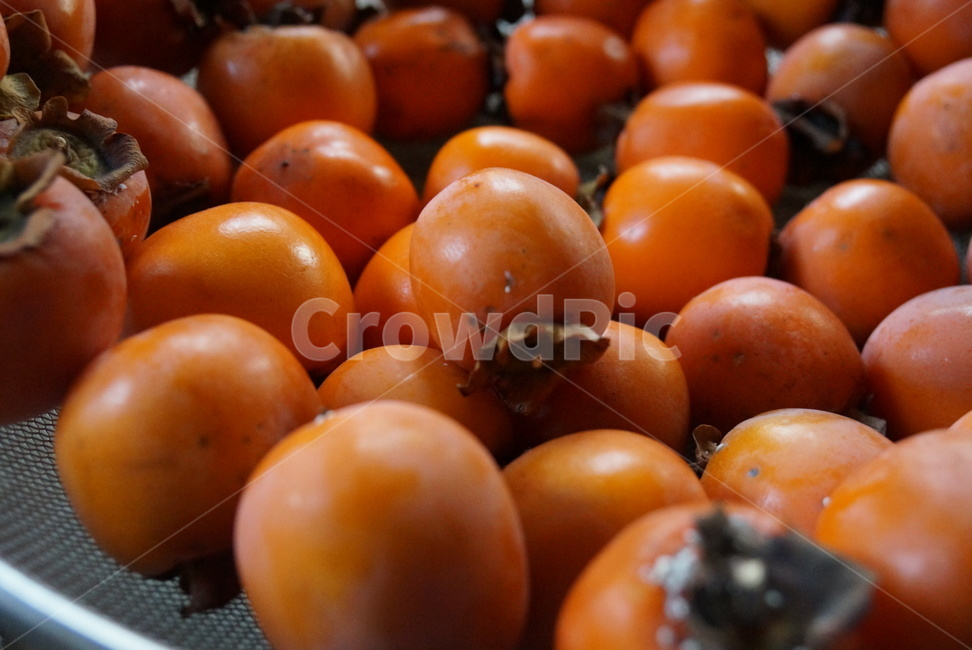 plant,식물,food,식품,produce,생산액,fruit,과일,persimmon,감,가을,풍년,주황색,음식,식재료,요리,food,cook,meal,dishes,food reserves,과일,열매,fruit
