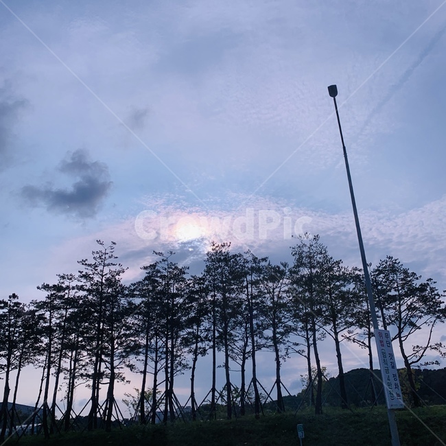 하늘,일몰,구름,나무,전신주,tree,sky,cloud,sunset,blue