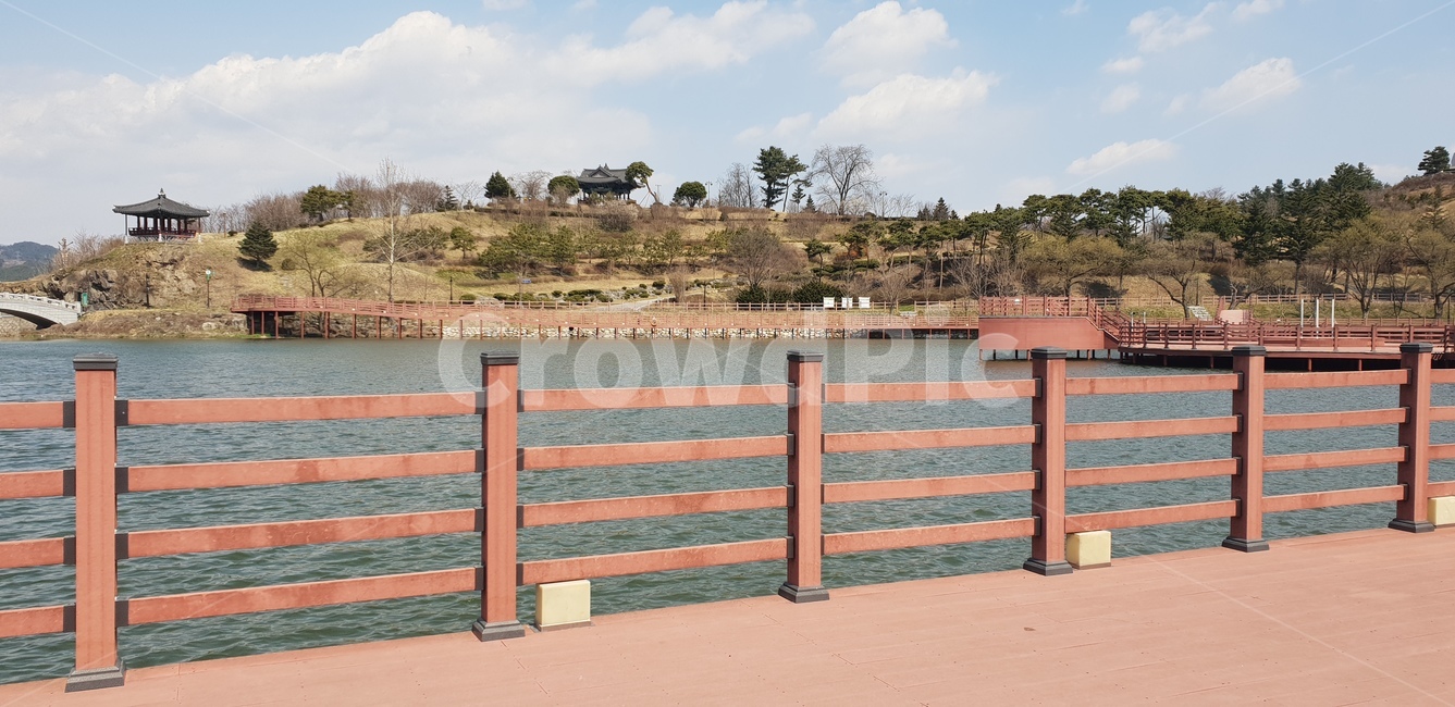 자연,풍경,나무,경치,힐링,자연,풍경,nature,landscape