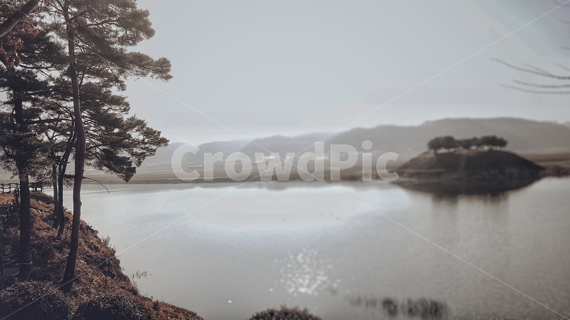 nature,자연,나무,tree,산,경치,안동