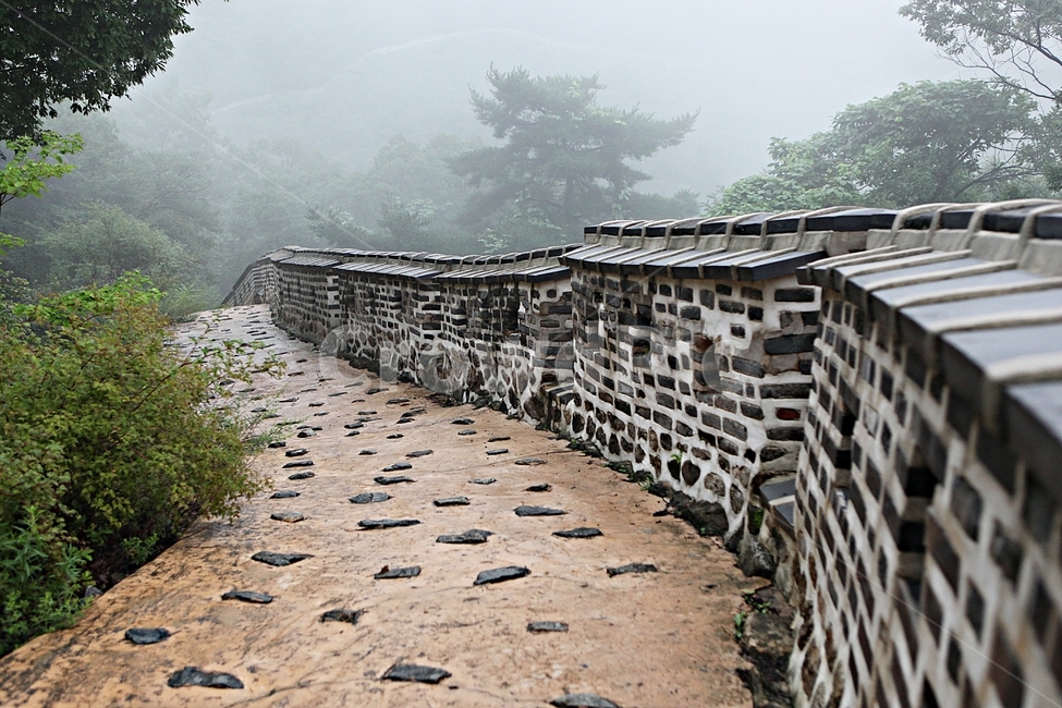 남한산성,성곽,돌담,둘레길,안개,숲길,숲,길,담