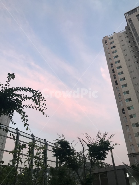 아파트,구름,apartment,cloud,나무,tree,leaves
