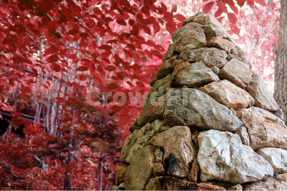 돌탑,소원,기도,숲,미신,돌,소망,자연,산,풍경,nature,landscape,돌쌓기,산중,나무,나뭇잎,단풍,돌무더기,토테미즘,신앙,돌무덤,기원,토속,신비로운,민속,바램,정성,가을,계절,fall,autumn,season,자연,풍경,nature,landscape,leaf,잎,plant,식물,tree
