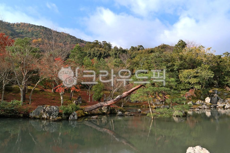 교토,아라시야마,가을,풍경,nature,자연,정원,garden,kyoto,autumn,사원,temple