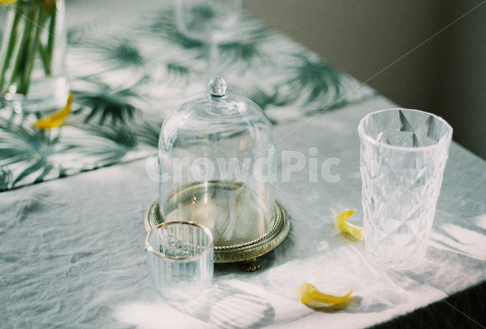 감성사진,필름사진,꽃,테이블,탁자,감성,sensible,feeling,휴식,힐링,rest,relaxation,healing