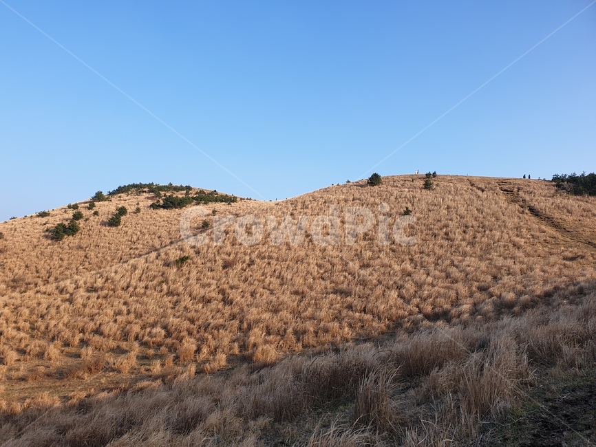 제주,풍경,하늘,오름,용눈이오름,제주도,자연,자연,풍경,nature,landscape