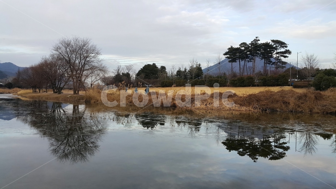 풍경,부산,수영강,금정구,강물,겨울,계절,winter,season,자연,풍경,nature,landscape,한국자연풍경,한국자연경관,korea nature landscape,water,물,land,땅,outdoors,옥외
