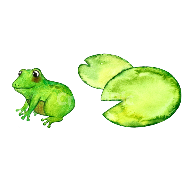 개구리,frog,수채화,개구리수채화,그림,곤충,동물,그래픽,일러스트레이션,graphic,illustration