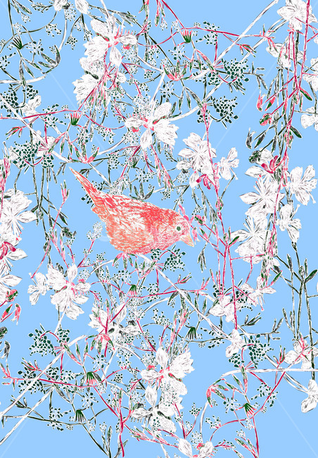 미술,art,drawing,bird,design,flame,그림,그래픽,일러스트레이션,graphic,illustration
