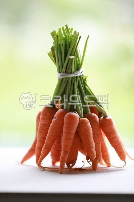 당근,야채,채소,음식,식재료,주황색,초록색,아웃포커싱,food,묶음