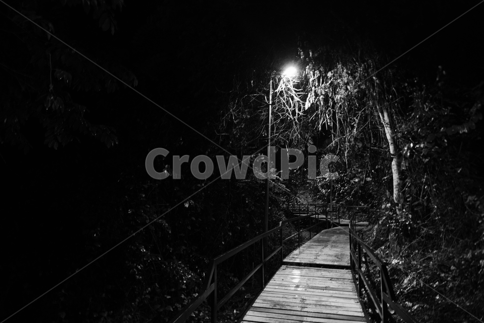 숲,공포,흑백,숲길,night,어둠,dark