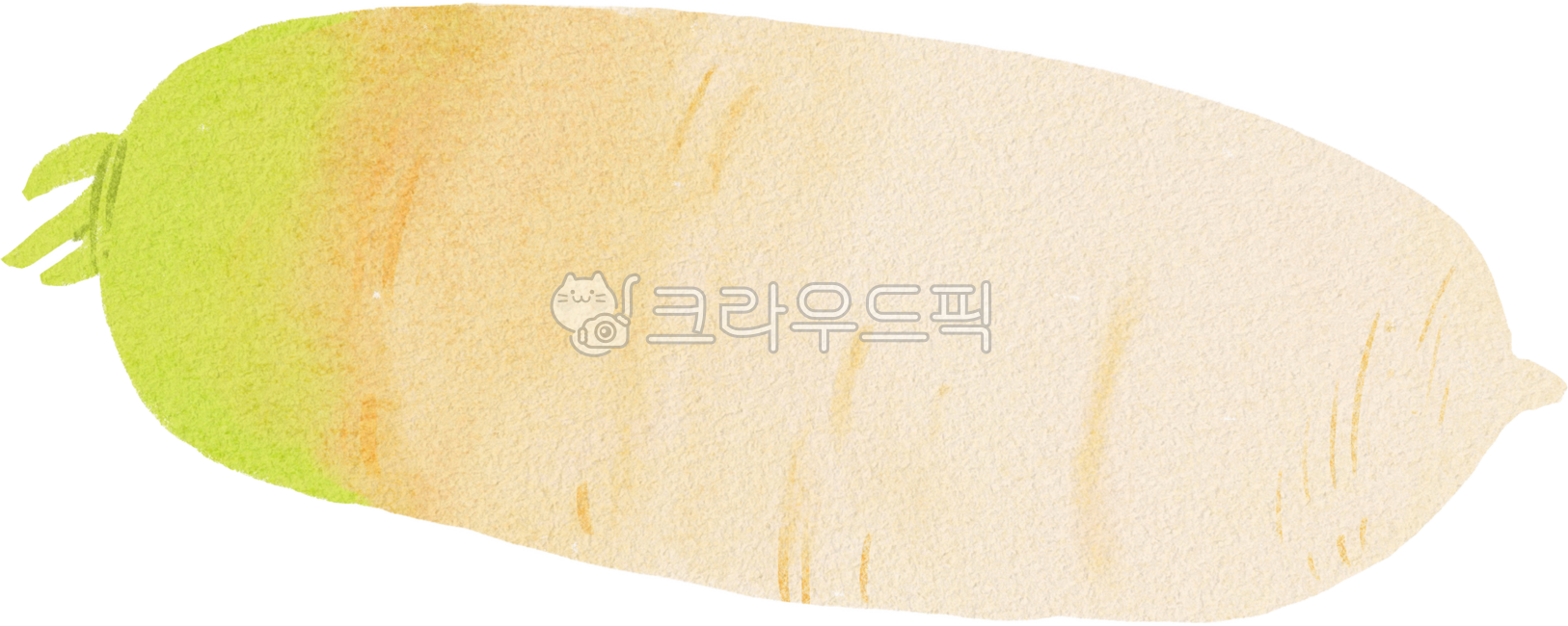 무,무우,김치재료,김장재료,야채,채소,음식,식재료,무그림,무우일러스트,무우그림,손그림