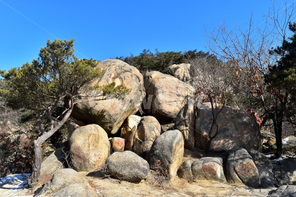 관악산,풍경,겨울,자연,눈,스포츠,등산,산행,nature,snow,겨울풍경,느낌,아름다운,신비로운,경이로운,기암,바위,암봉,암릉,다큐,필,힐링,명산,landscape,winter,season,트레킹,100대명산,인기명산,조망,전망,정부청사,6봉,수목원능선,바윗길,암릉길,명품송,소나무,한국자연풍경,한국자연경관,korea,관양능선,팔봉능선,국기봉,겨울,계절,winter,season,자연,풍경,nature,landscape,한국자연풍경,한국자연경관,korea nature landscape,rubble,파편,ground,바닥