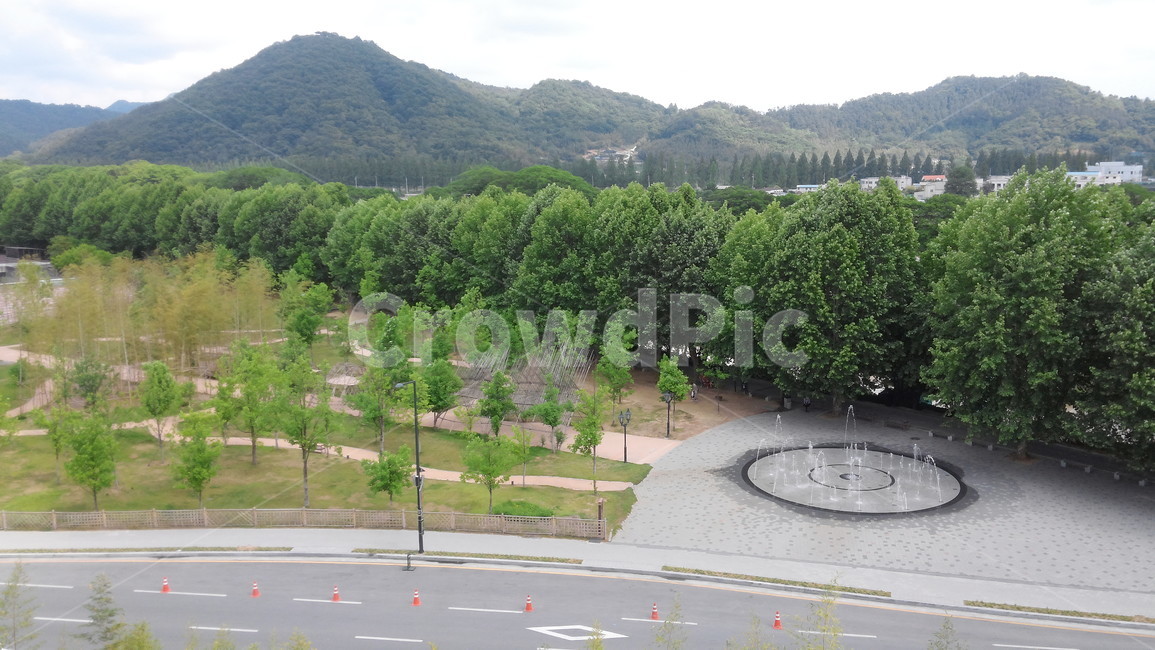 담양,죽녹원,산책,풍경,자연