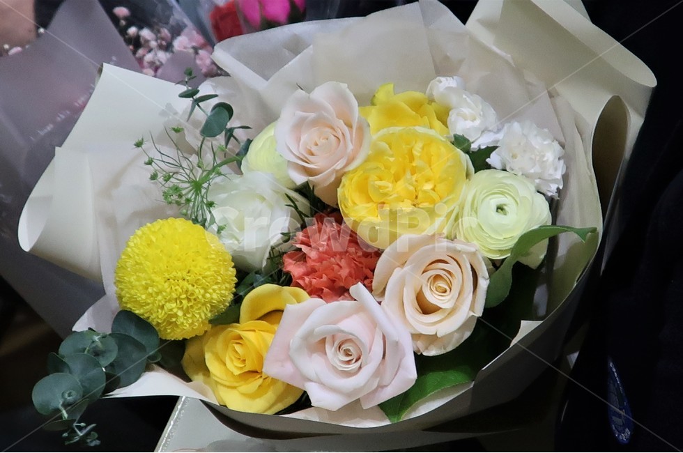 꽃,꽃다발,축하,선물,기념,기념일,포장,포장지,장미,식물,꽃,flower,기념일,축하,anniversary,congratulation,celebrate,celebration