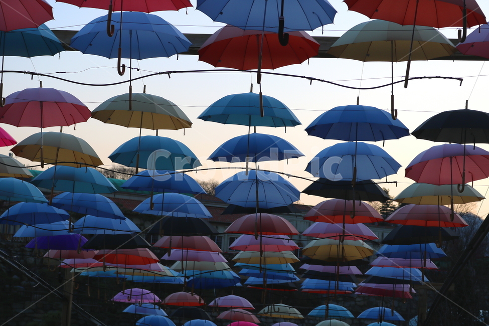 우산,비,그늘막,우산들,지붕우산,우산축제,하늘,허브아일랜드
