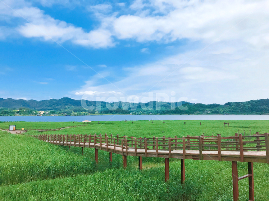 하늘,초원,갈대,다리,자연,강,자연,풍경,nature,landscape,water,물,outdoors,옥외