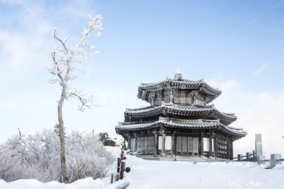 상고대,눈꽃,풍경,한국의미,자연,겨울,계절,winter,season,자연,풍경,nature,landscape,한국자연풍경,한국자연경관,korea nature landscape,한국전통,한국문화,korean traditional,korean culture,건축물,건물외관,exterior,building,structure,architecture,construction,건물