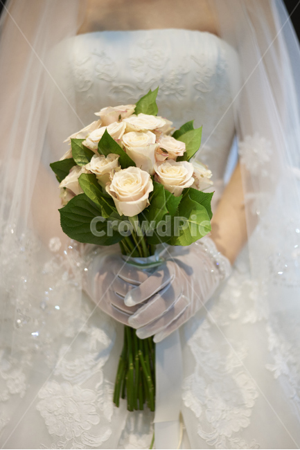 부케,결혼,신부,웨딩드레스,장미,wedding,드레스,꽃,흰장미,웨딩