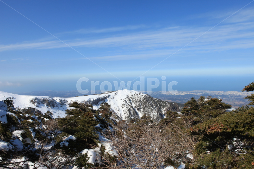 한라산,자연,풍경,겨울,산,눈,국립공원,하늘,겨울,계절,winter,season,자연,풍경,nature,landscape,한국자연풍경,한국자연경관,korea nature landscape,제주도,jeju,jeju island,tree,나무,plant,식물,fir,전나무,abies,아비,outdoors,옥외