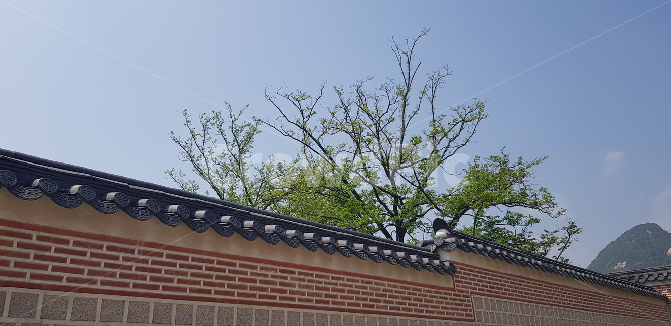 전통,한국전통,전통무늬,벽,담,전통담,한옥,하늘,한국전통,한국문화,korean traditional,korean culture