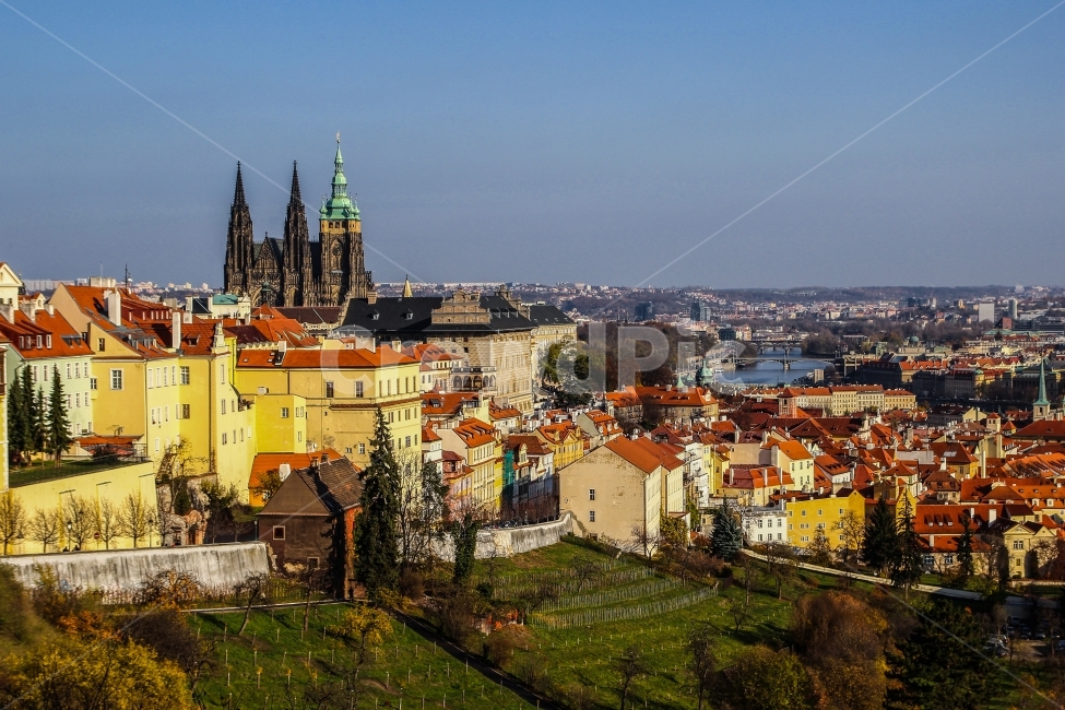 프라하,체코,프라하왕궁,비트대성당,유럽,여행,프라하전경,프라하여행,자유,prague,관광지,유적지,유명관광지,유럽관광지,건축물,유럽건축물,도시,풍경,city,landscape,해외,외국,세계,foreign,oversea,world,세계도시풍경,해외도시풍경,외국도시풍경,world cityscape,steeple,뾰족한 탑,spire,첨탑,building,건물,architecture,건축물,tower,탑,scenery,outdoors,옥외,nature,자연,town,시티,urban,어반,metropolis,중심지