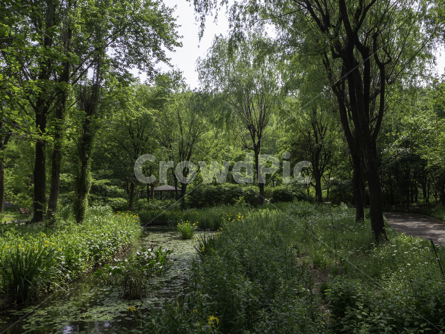 수목원,botanicalgarden,대구수목원,대곡수목원,나무,trees,nature,자연,연못,자연,풍경,nature,landscape,land,땅,outdoors,옥외,tree,plant,식물,vegetation,초목,jar,항아리,pottery,도기류,potted plant,화분,forest,숲,woodland,삼림지