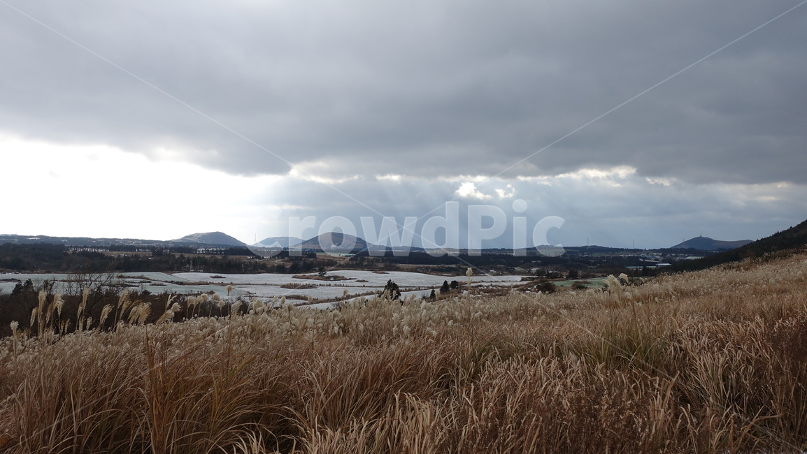 오름,겨울,갈대,억새,제주,자연,자연경관,jeju,jejuisland,구름,하늘,눈,snow,제주도,winter,nature,겨울,계절,winter,season,제주도,jeju,jeju island,plant,식물,grass,잔디