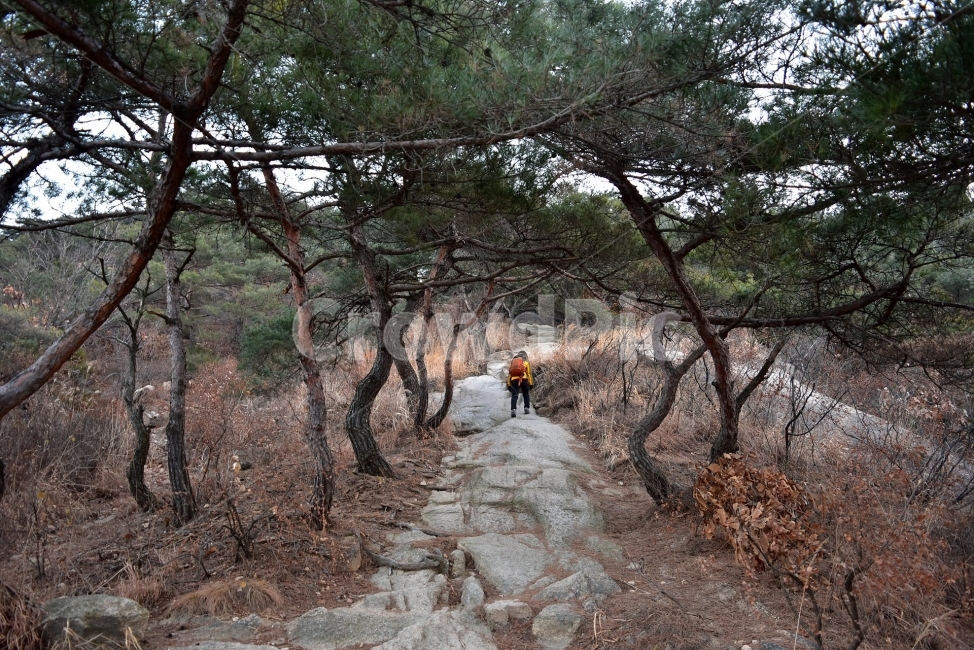 북한산,풍경,자연,국립공원,서울,도심지,명산,겨울,힐링,산행지,국내여행,자연풍경,산사진,Seoul,Korea,National,Park,비경,산행,등산,트레킹,100대명산,기암,바위산,백운대,바위,암봉,암봉우리,족두리봉,향로봉,비봉,자연,풍경,nature,landscape,한국자연풍경,한국자연경관,korea nature landscape,사람,인물,인간,human,person,ground,바닥