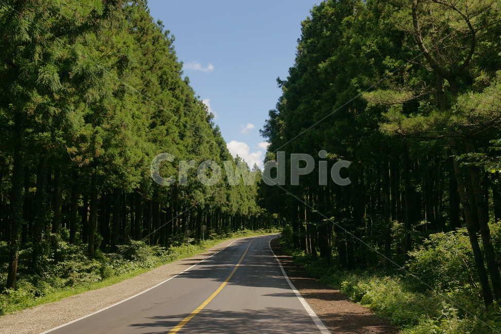 길,도로,중앙선,나무,숲,하늘,구름,여름,가을,낮,맑음,road,highway,아스팔트,자연,풍경,nature,landscape