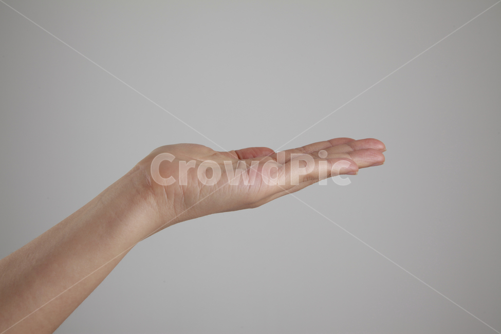 손각도,손,손모양,손가락,팔,왼손,손바닥,신체일부,손짓,표현,받침,사람,연출,컨셉,콘셉,동양인,human,person,body,hand,sign,expression,신체일부,몸,body,손,제스처,표시,손짓,표현,gesture,hand,sign,expression