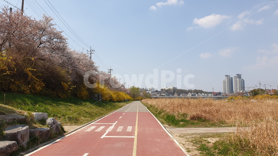 road,도로,tarmac,타맥,asphalt,freeway,아스팔트,자연,풍경,nature,landscape,고속 도로,highway,고속도로