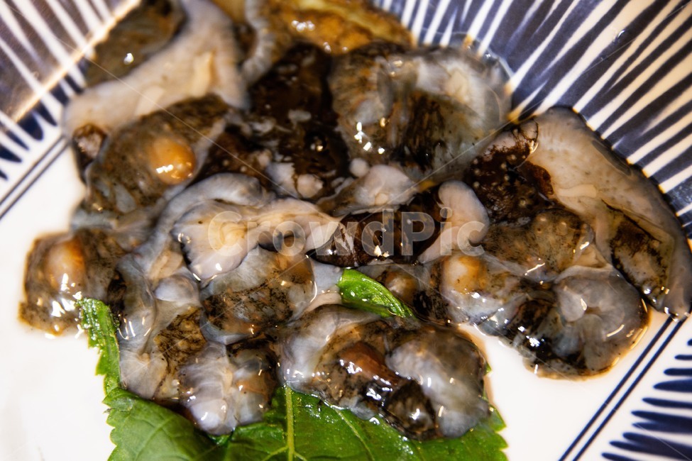 해삼,건강식,바다,해산물,정력,바다의인삼,보양식,음식,식재료,요리,food,cook,meal,dishes,food reserves
