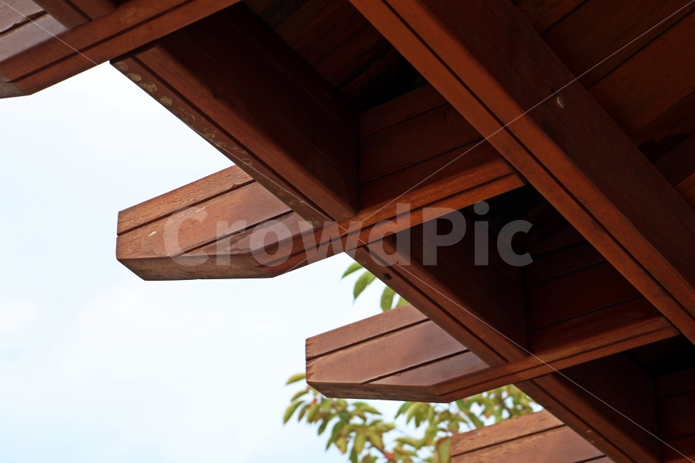 하늘,처마,공원,나무,풀,나뭇잎,나무로만든,건축물,건물외관,exterior,building,structure,architecture,construction