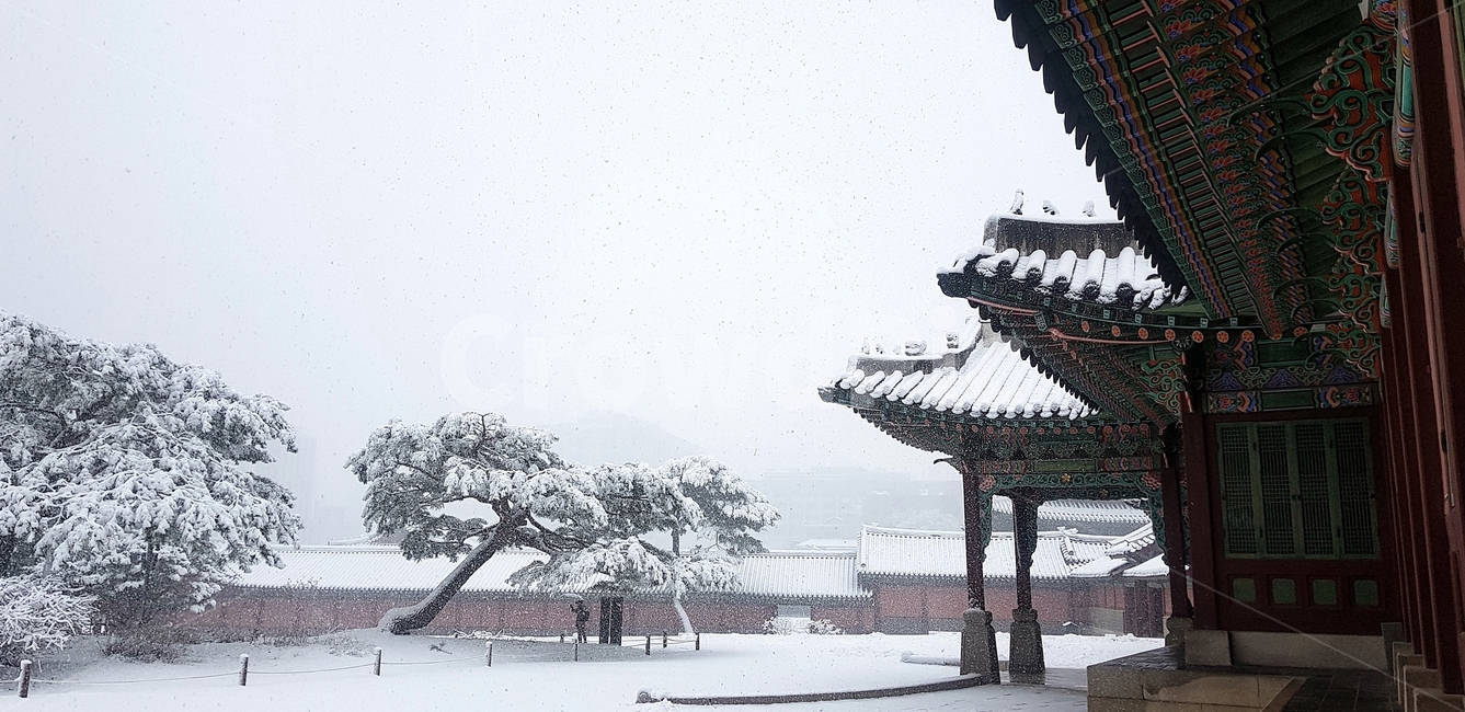 창덕궁,설경,첫눈,서설,고궁,palace,firstsnow,changdeokgungpalace,겨울,계절,winter,season,한국전통,한국문화,korean traditional,korean culture,랜드마크,landmark,tourist attraction,한국랜드마크,한국관광지,한국명소,korea landmark,korea tourist attraction,건축물,건물외관,exterior,building,structure,architecture,construction