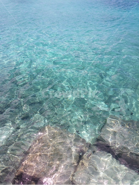 nature,자연,water,물,sea,바다,ocean,사이판,투명