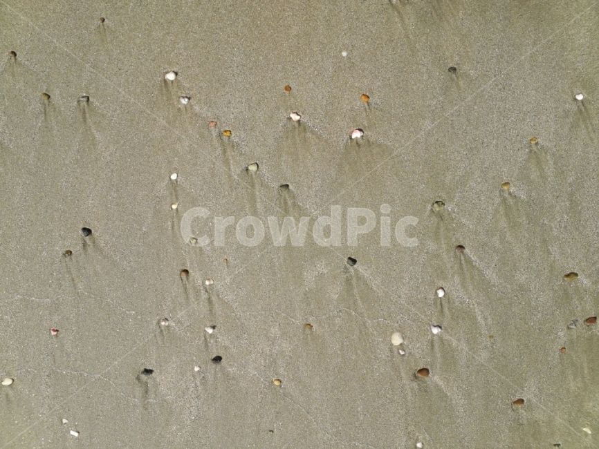 모래,해변,모래사장,조개,파도,해수욕장,해변,바다,beach,sea,텍스처,질감,패턴,texture,pattern