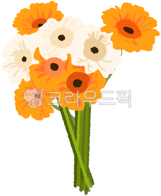 꽃,꽃다발,거베라,부케,flower