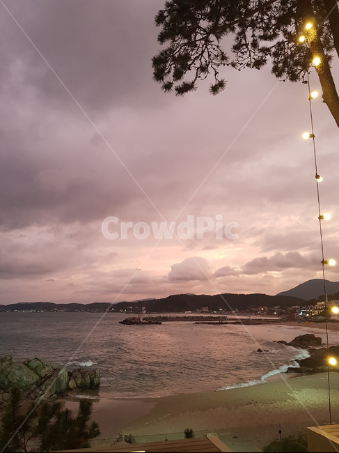 해변,카페,노을,하늘,cafe,비치,분홍하늘,beach,sky,바다,파도,바다냄새,구름,감성하늘,감성카페