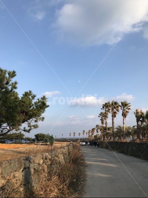 하늘,풍경,맑은하늘,구름,청량,날씨,자연,풍경,nature,landscape,tree,나무,plant,식물,road,도로