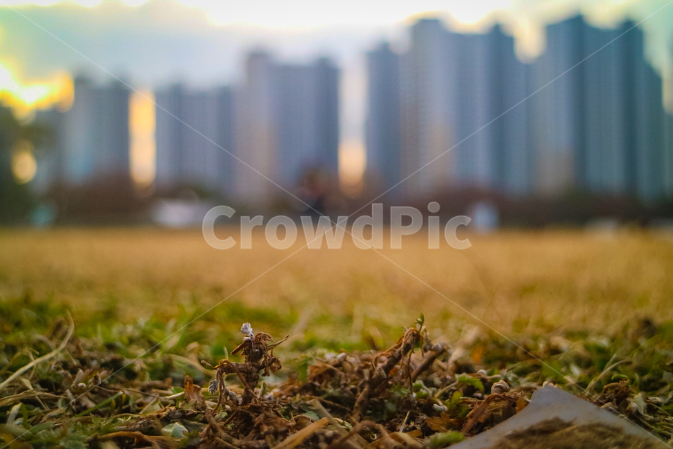 아지랑이,땅,자연,ground,바닥