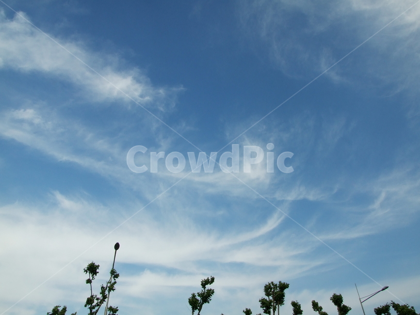 하늘,구름,sky,풍경,푸른,자연,풍경,nature,landscape,outdoors,옥외,azure sky,푸른 하늘