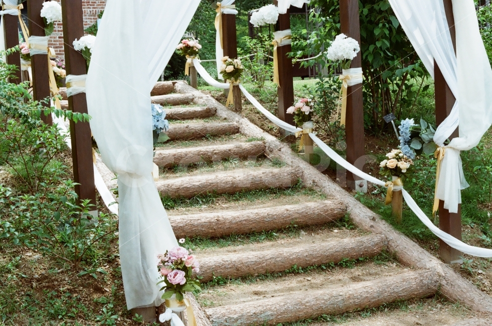 웨딩,화사함,감성,5월,초여름,기념일,축하,anniversary,congratulation,celebrate,celebration,결혼,혼례,웨딩,wedding,marriage,marry