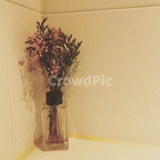 꽃,디퓨저,풍경,배경화면,화면,꽃,flower