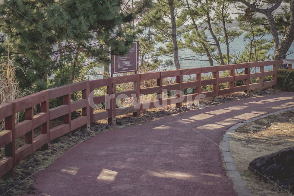 제주도,제주,바다,풍경,산책로,자연,수평선,나무,감성,jeju,sea,view,landscape,walk,nature,beautiful,tree,wood,자연,풍경,nature,landscape